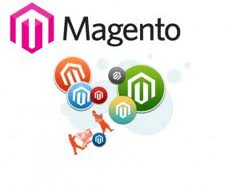 Magento Webshop